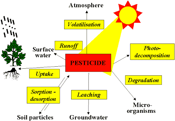 diagram - factors affecting pesticide fate and transport